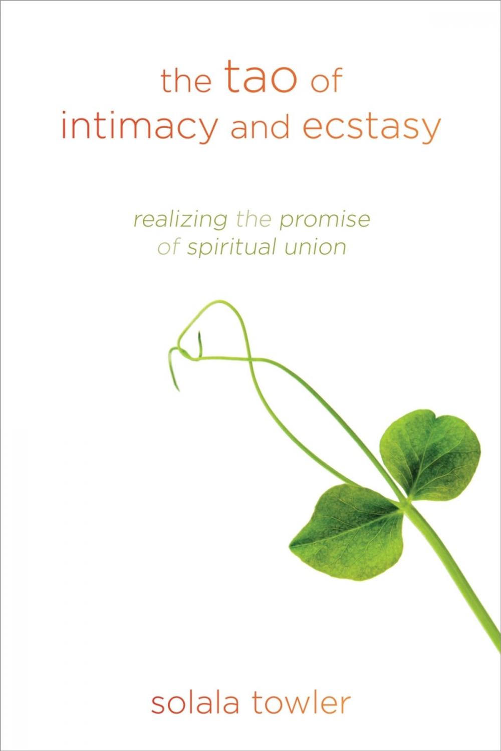 Big bigCover of The Tao of Intimacy and Ecstasy