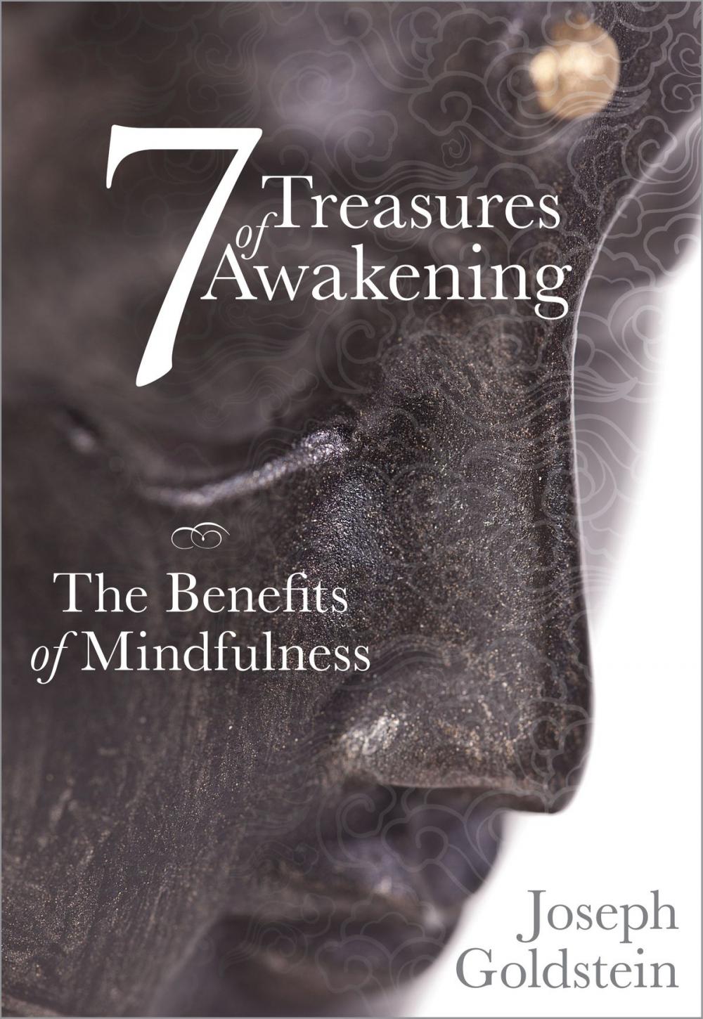 Big bigCover of 7 Treasures of Awakening