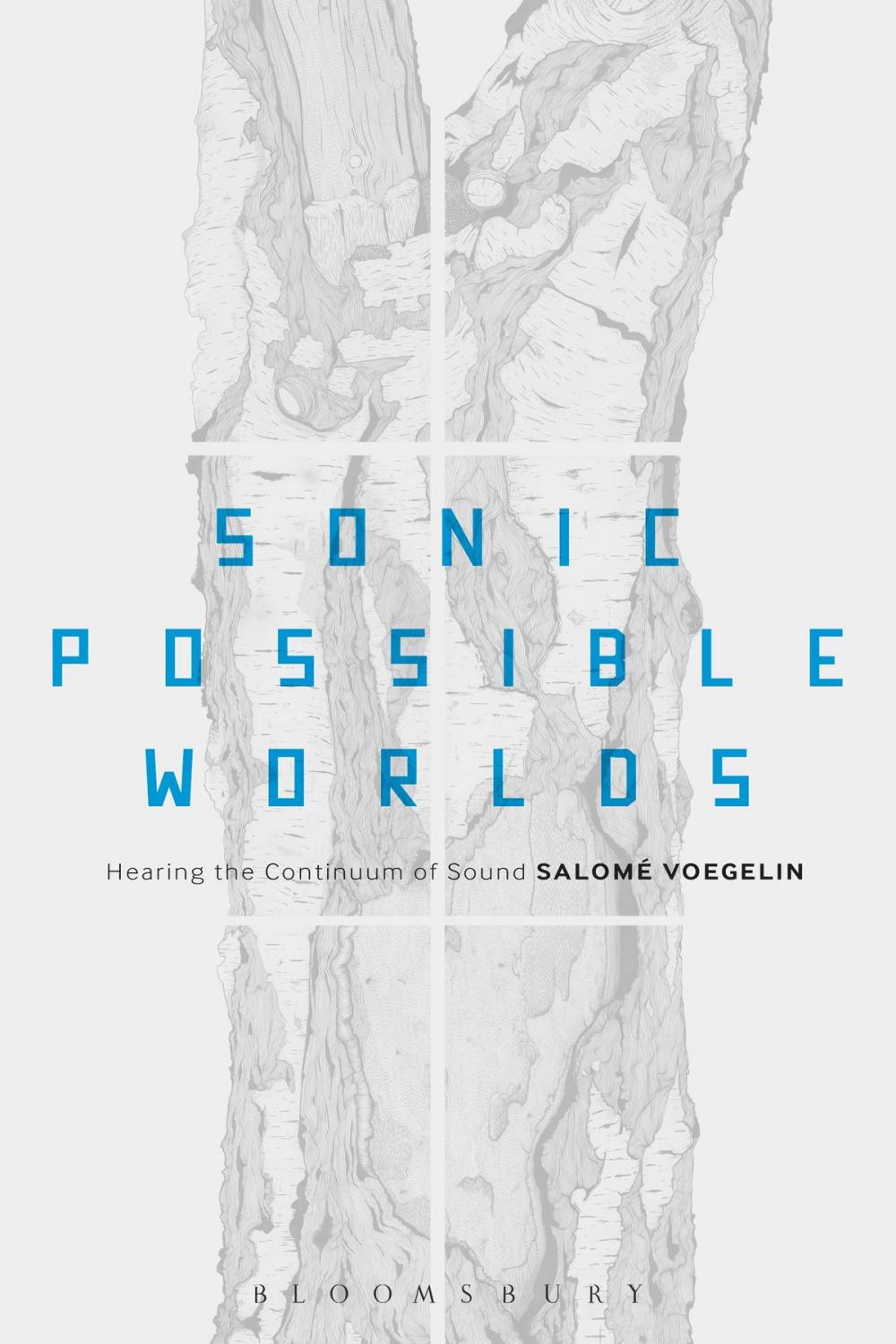 Big bigCover of Sonic Possible Worlds