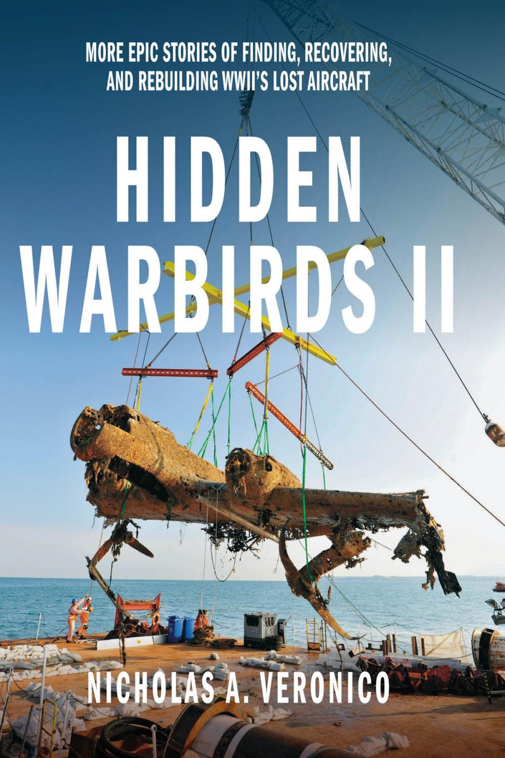 Big bigCover of Hidden Warbirds II