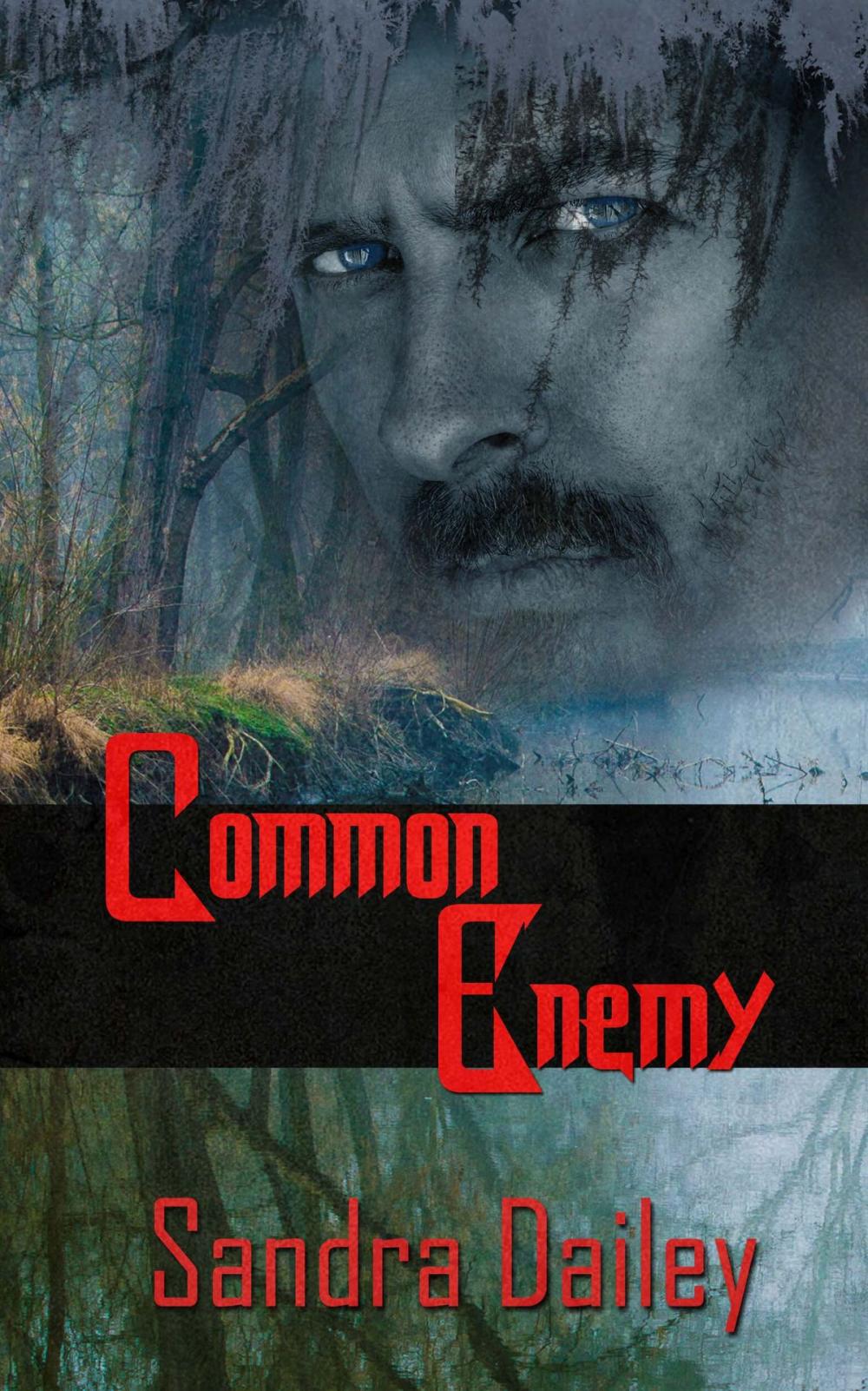 Big bigCover of Common Enemy