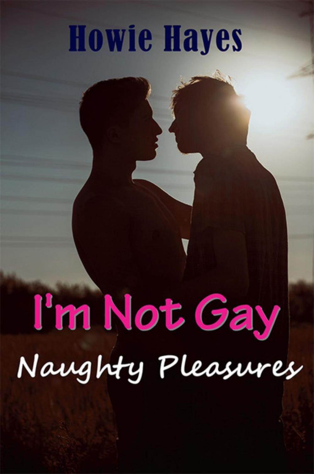 Big bigCover of I'm Not Gay