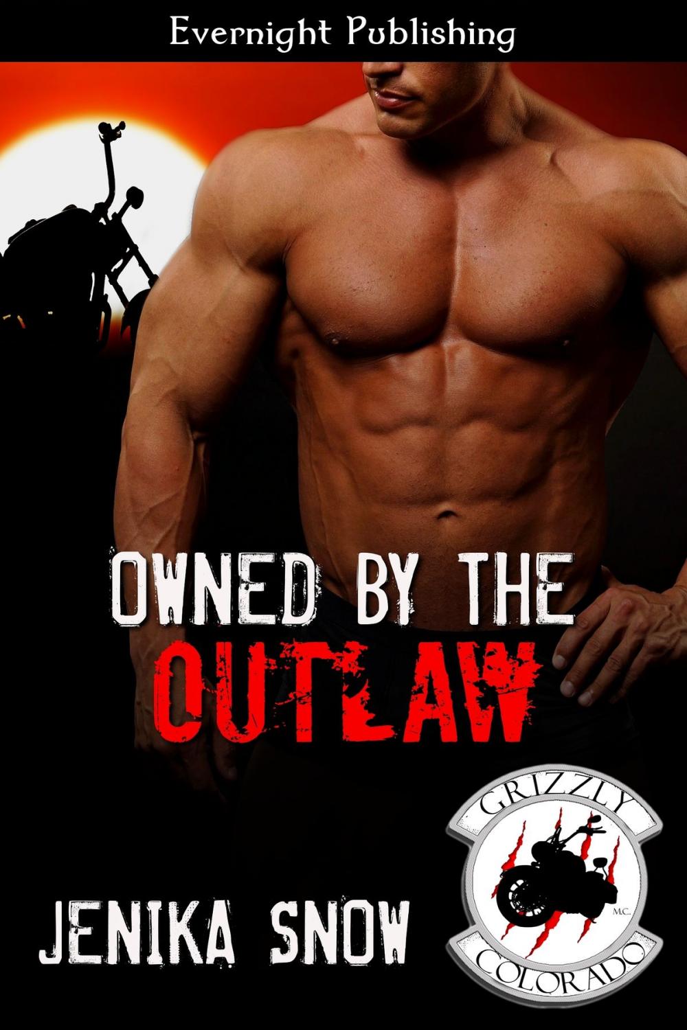 Big bigCover of Owned by the Outlaw