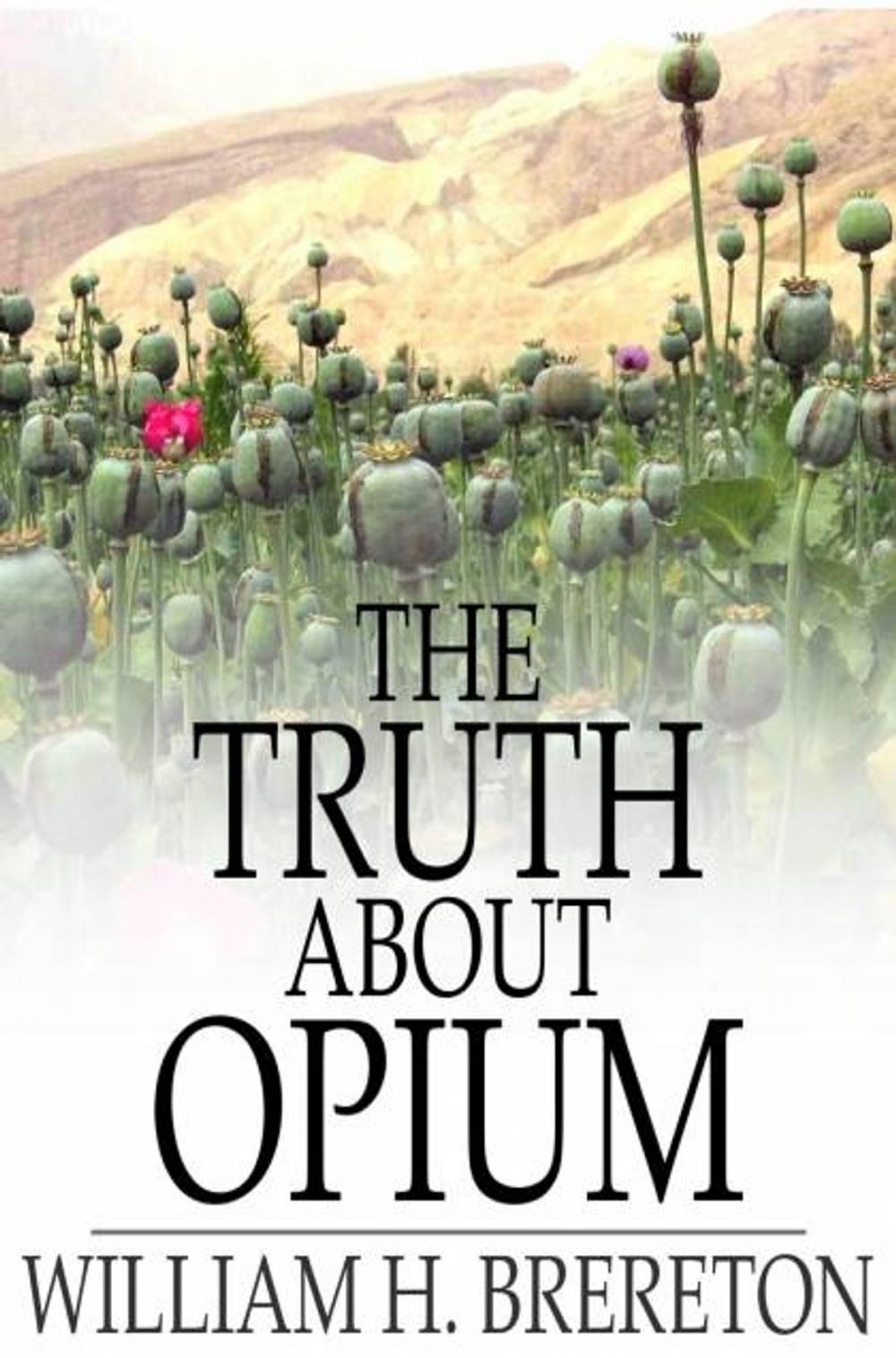 Big bigCover of The Truth About Opium