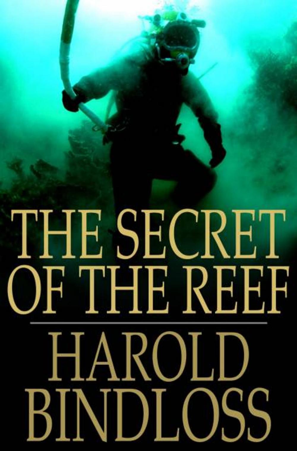 Big bigCover of The Secret of the Reef