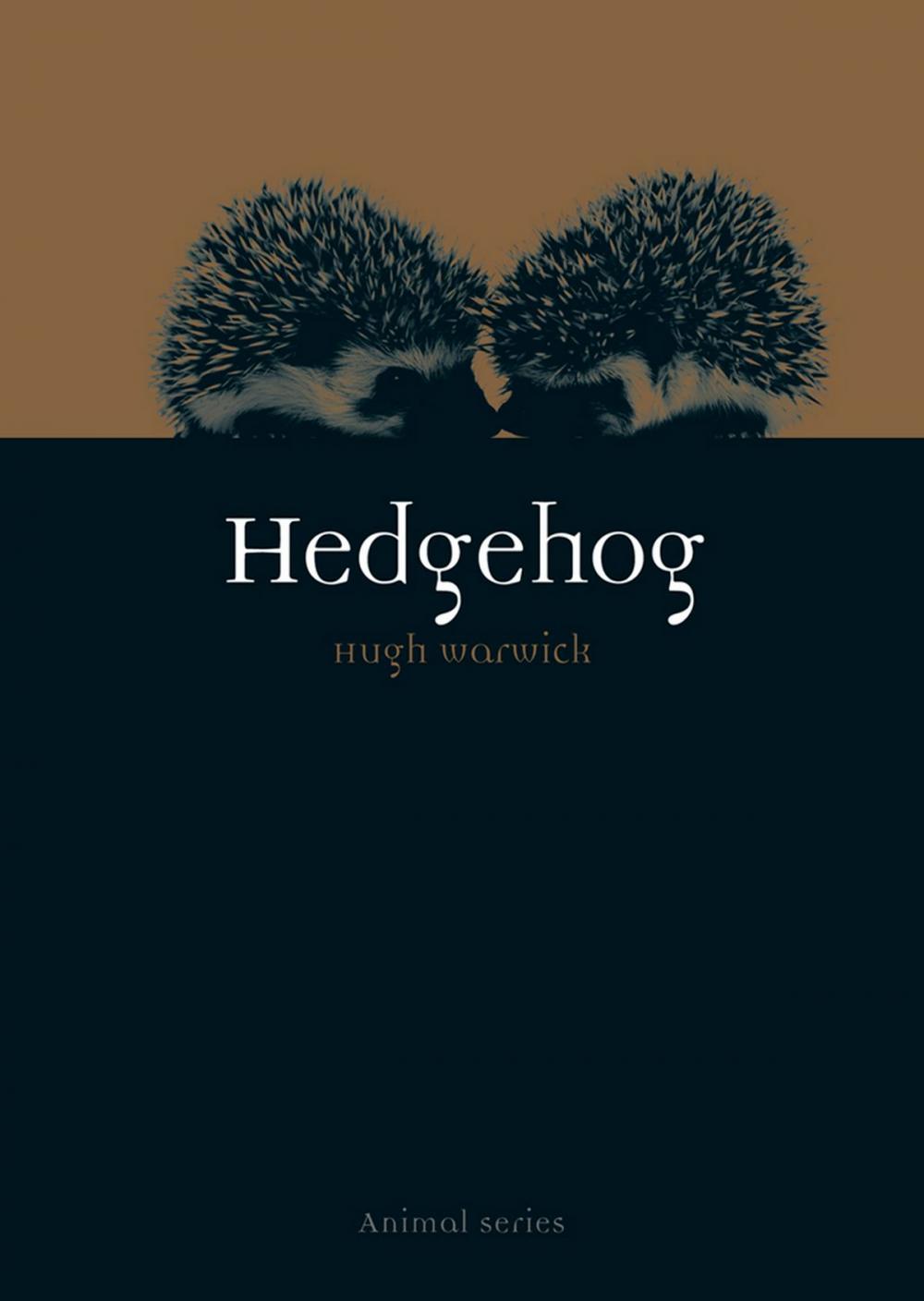 Big bigCover of Hedgehog