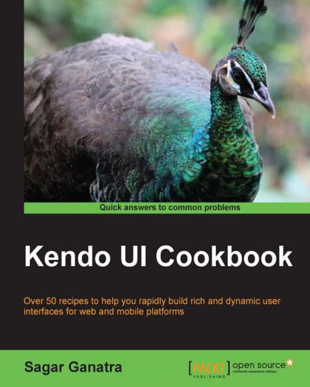 Big bigCover of Kendo UI Cookbook