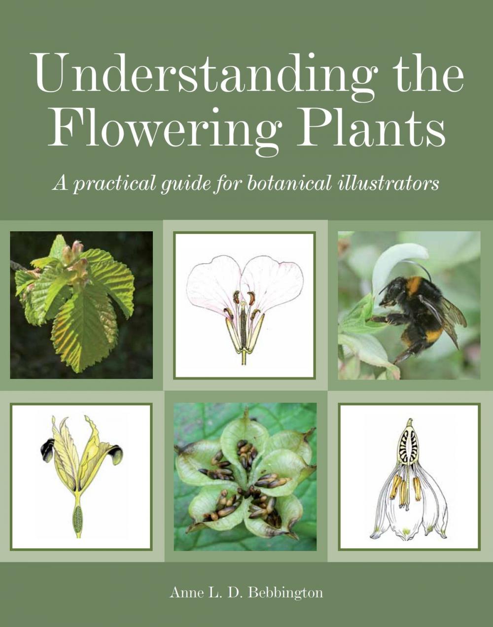 Big bigCover of Understanding the Flowering Plants