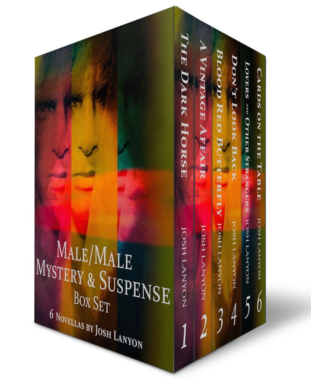 Big bigCover of Male/Male Mystery and Suspense Box Set: 6 Novellas