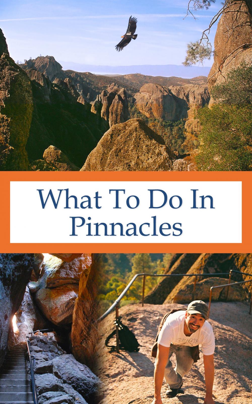 Big bigCover of What To Do In Pinnacles