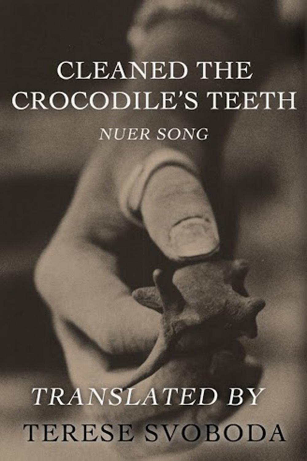 Big bigCover of Cleaned the Crocodile's Teeth