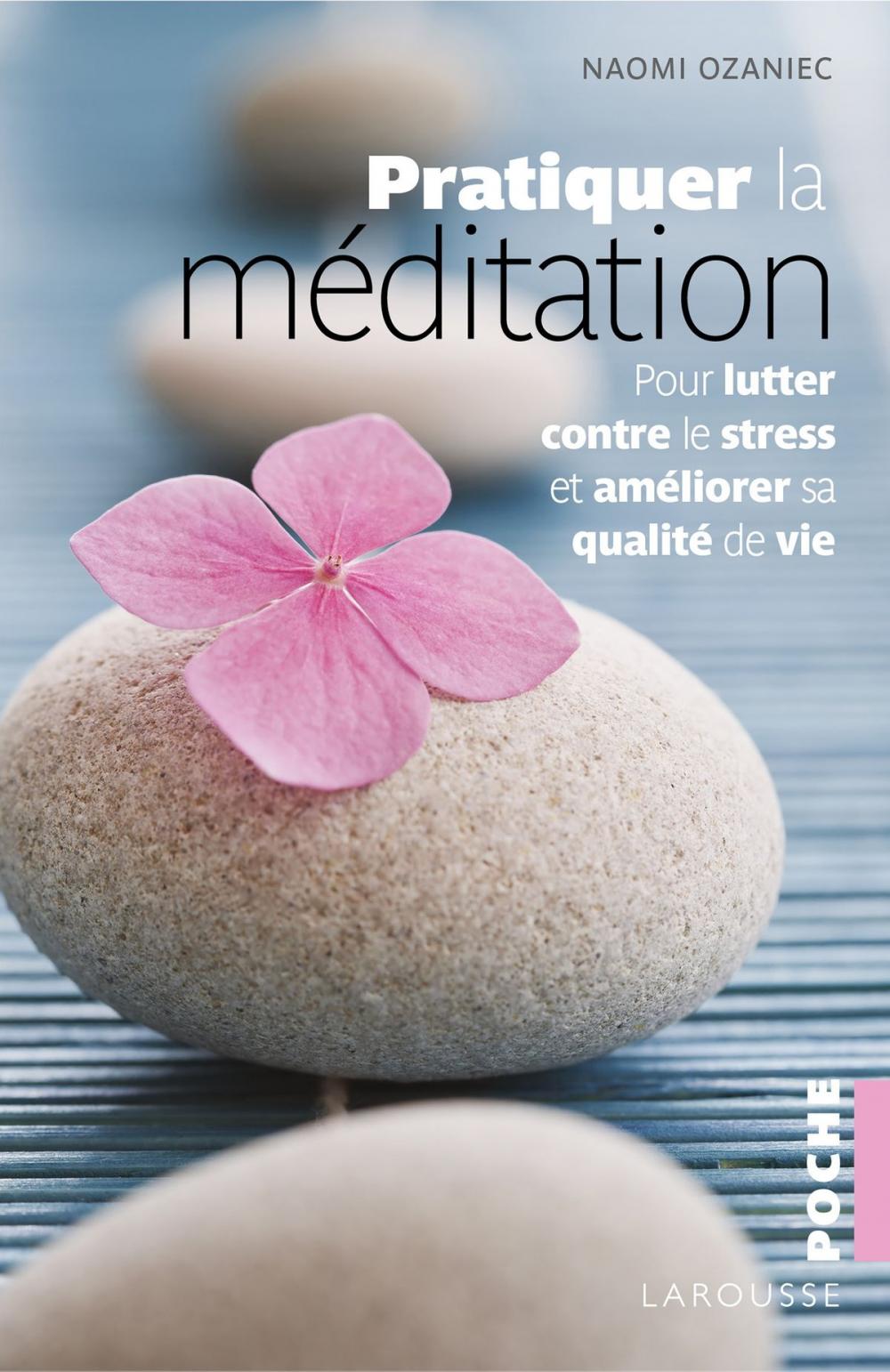 Big bigCover of Pratiquer la méditation