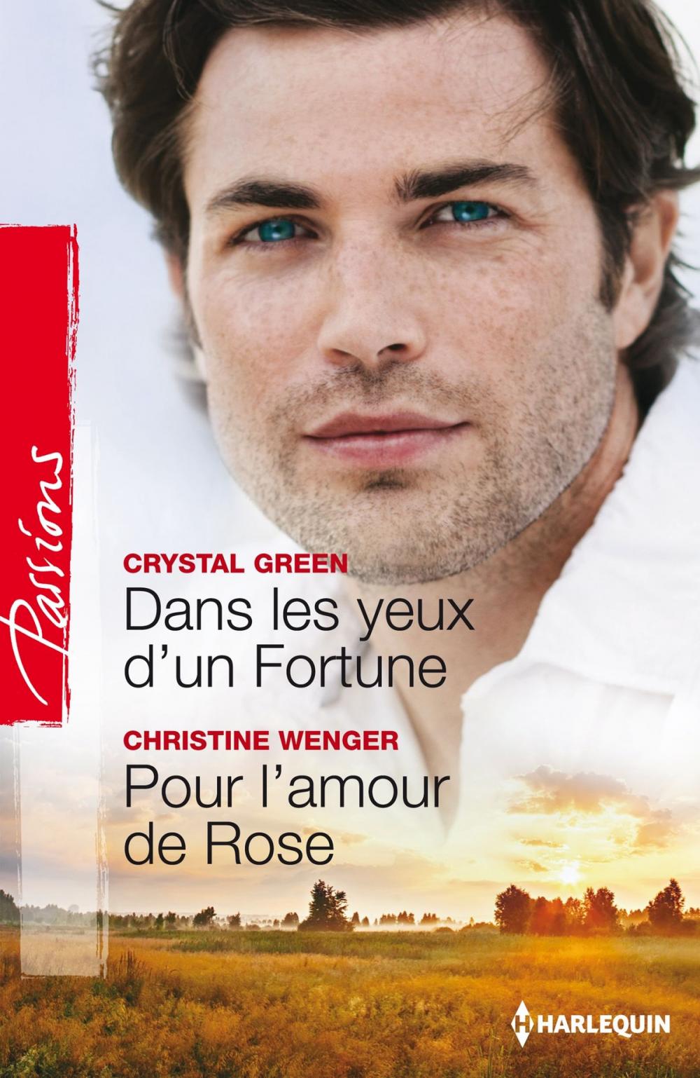 Big bigCover of Dans les yeux d'un Fortune - Pour l'amour de Rose