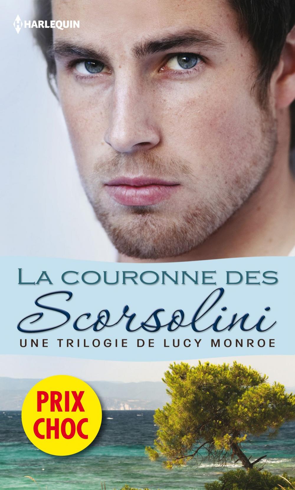 Big bigCover of La couronne des Scorsolini