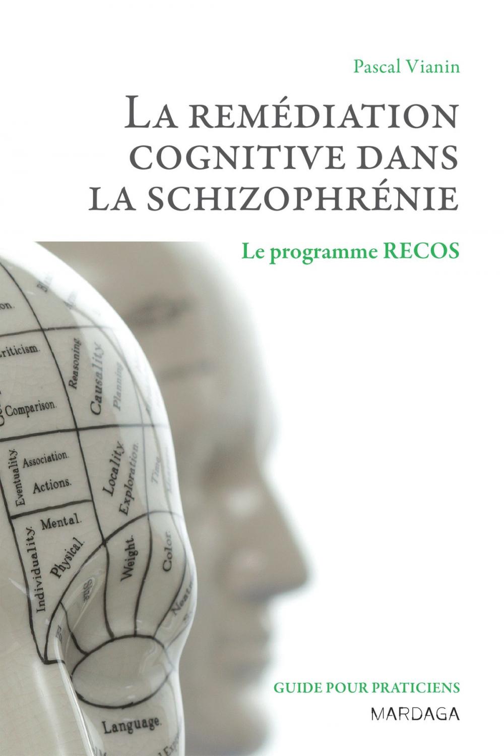 Big bigCover of La remédiation cognitive dans la schizophrénie