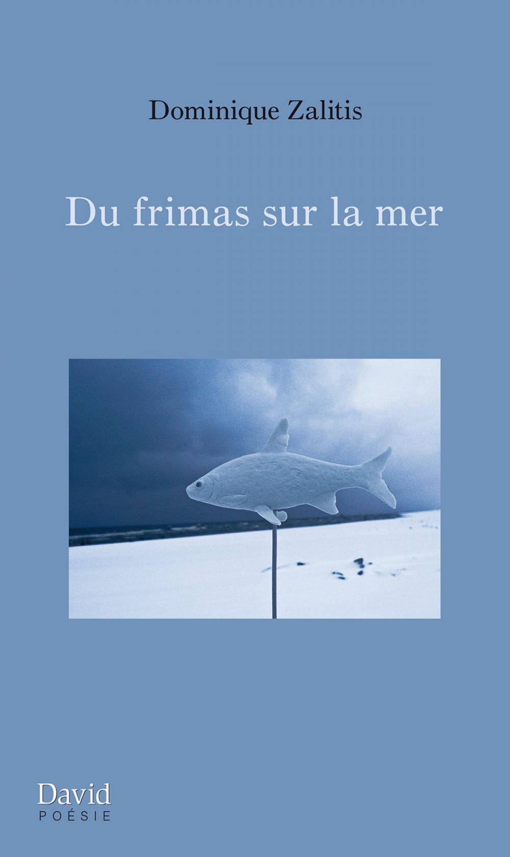 Big bigCover of Du frimas sur la mer