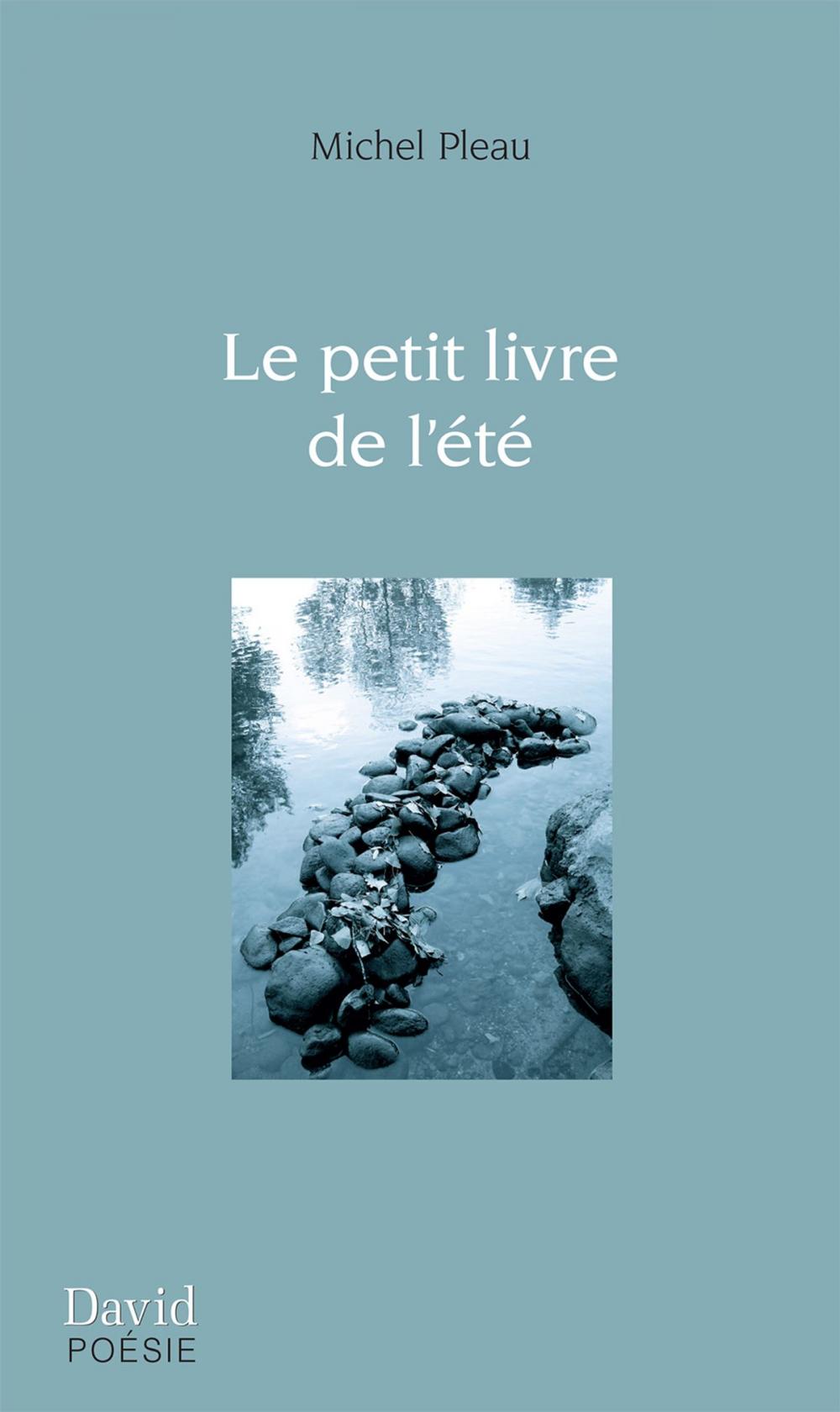 Big bigCover of Le petit livre de l’été