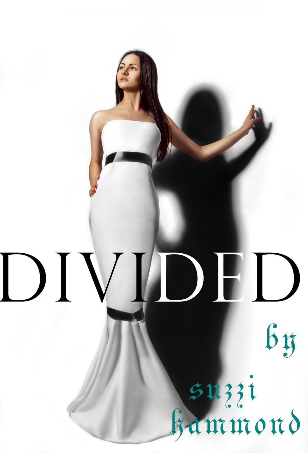 Big bigCover of DIVIDED