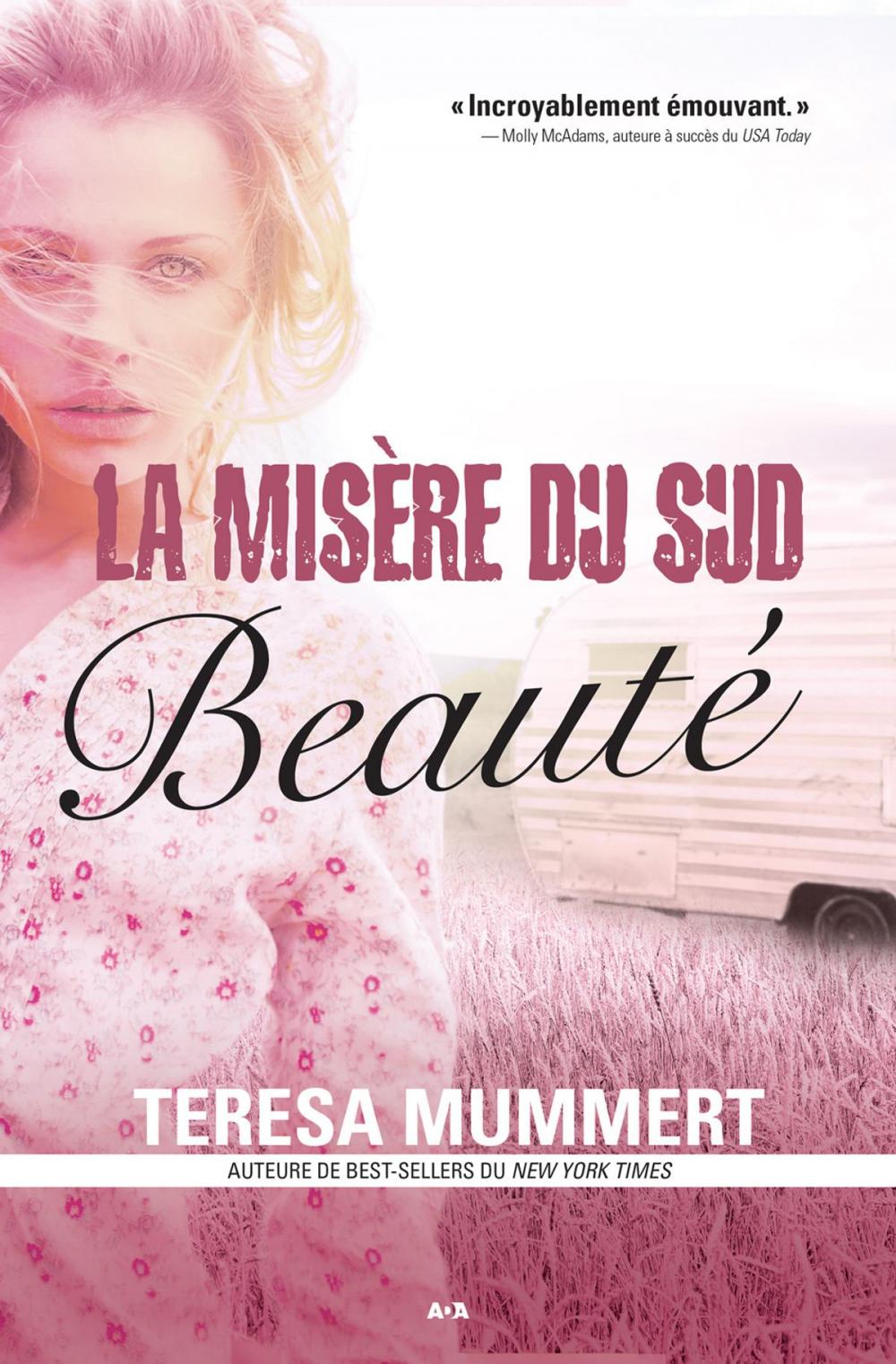 Big bigCover of La misère du sud