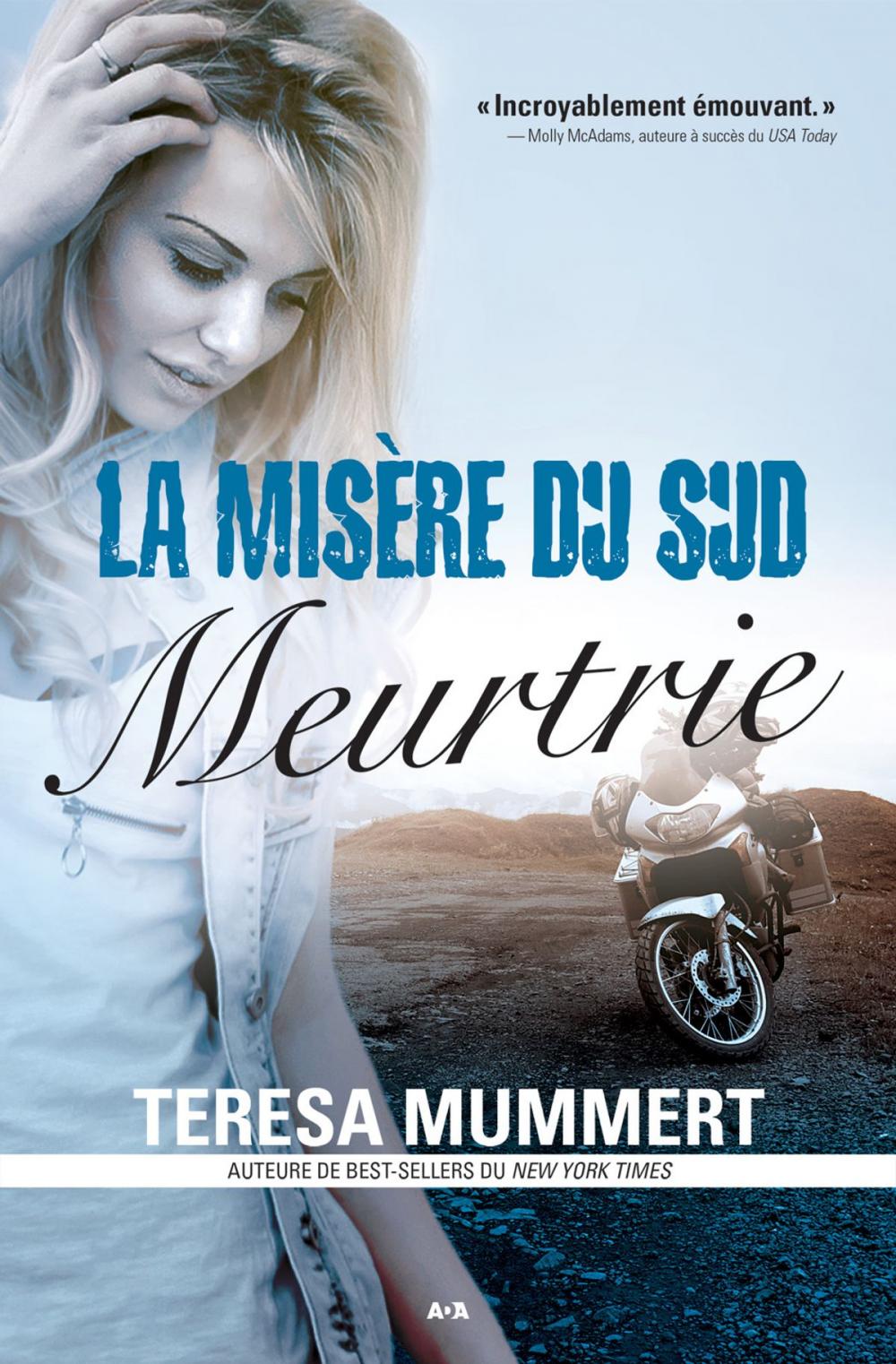 Big bigCover of La misère du sud