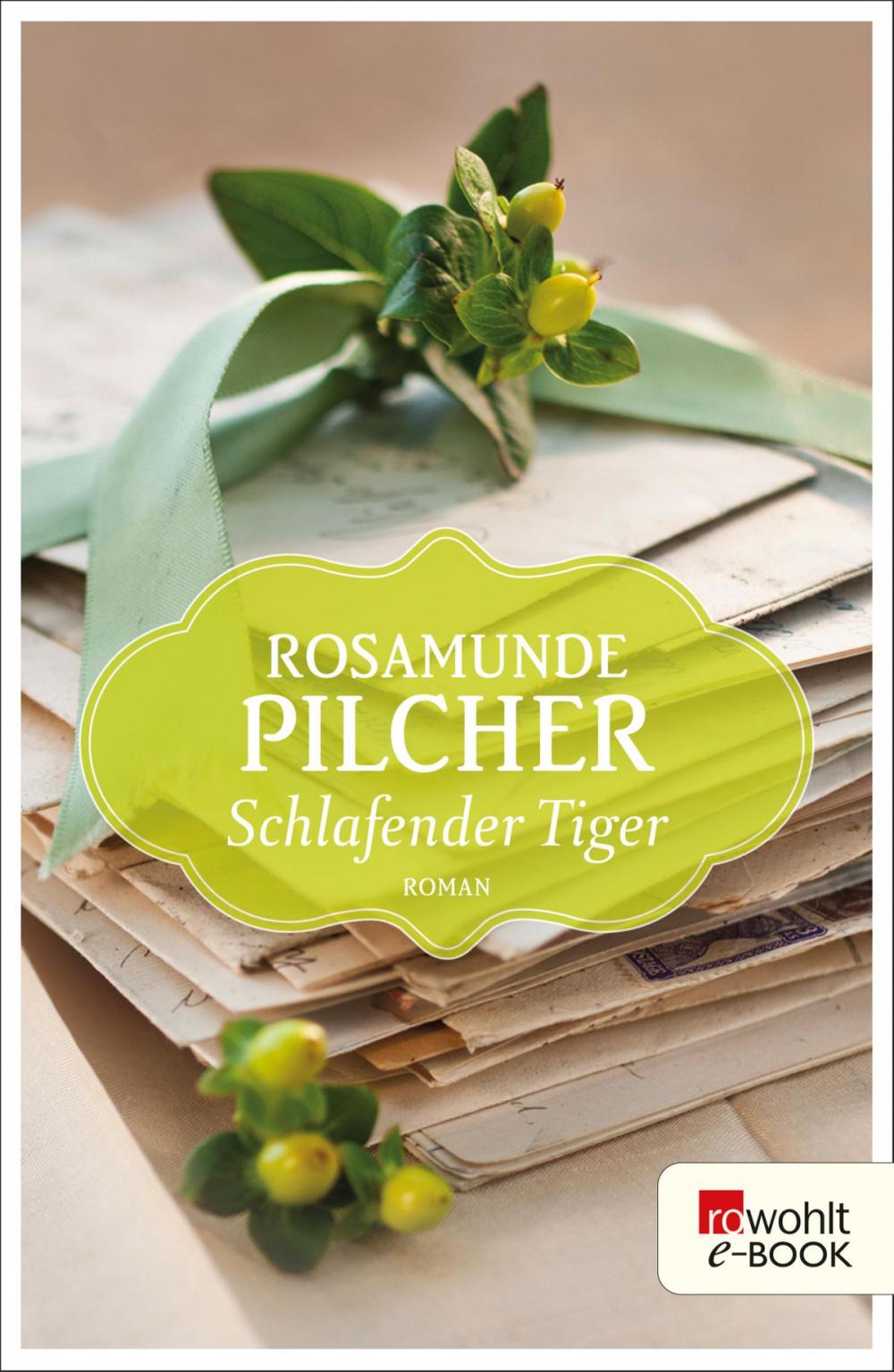 Big bigCover of Schlafender Tiger