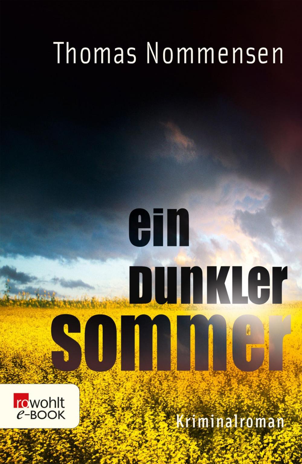 Big bigCover of Ein dunkler Sommer