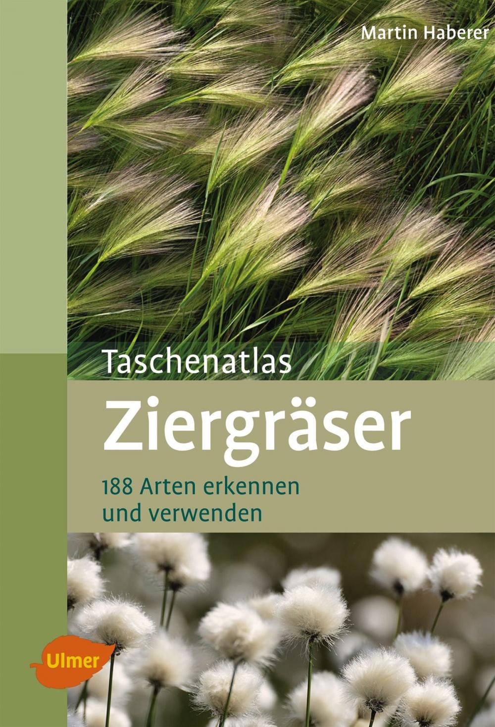 Big bigCover of Taschenatlas Ziergräser