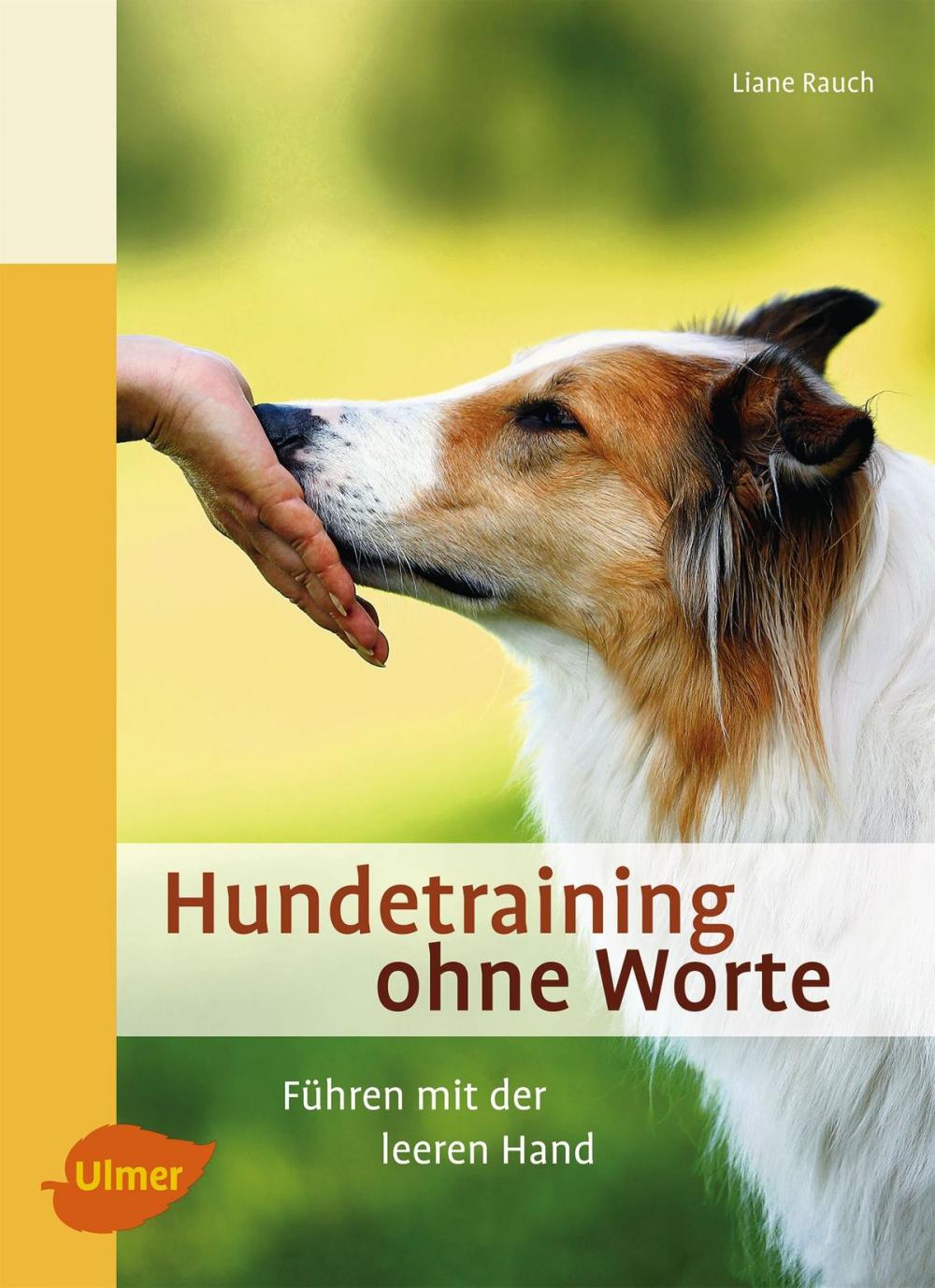 Big bigCover of Hundetraining ohne Worte