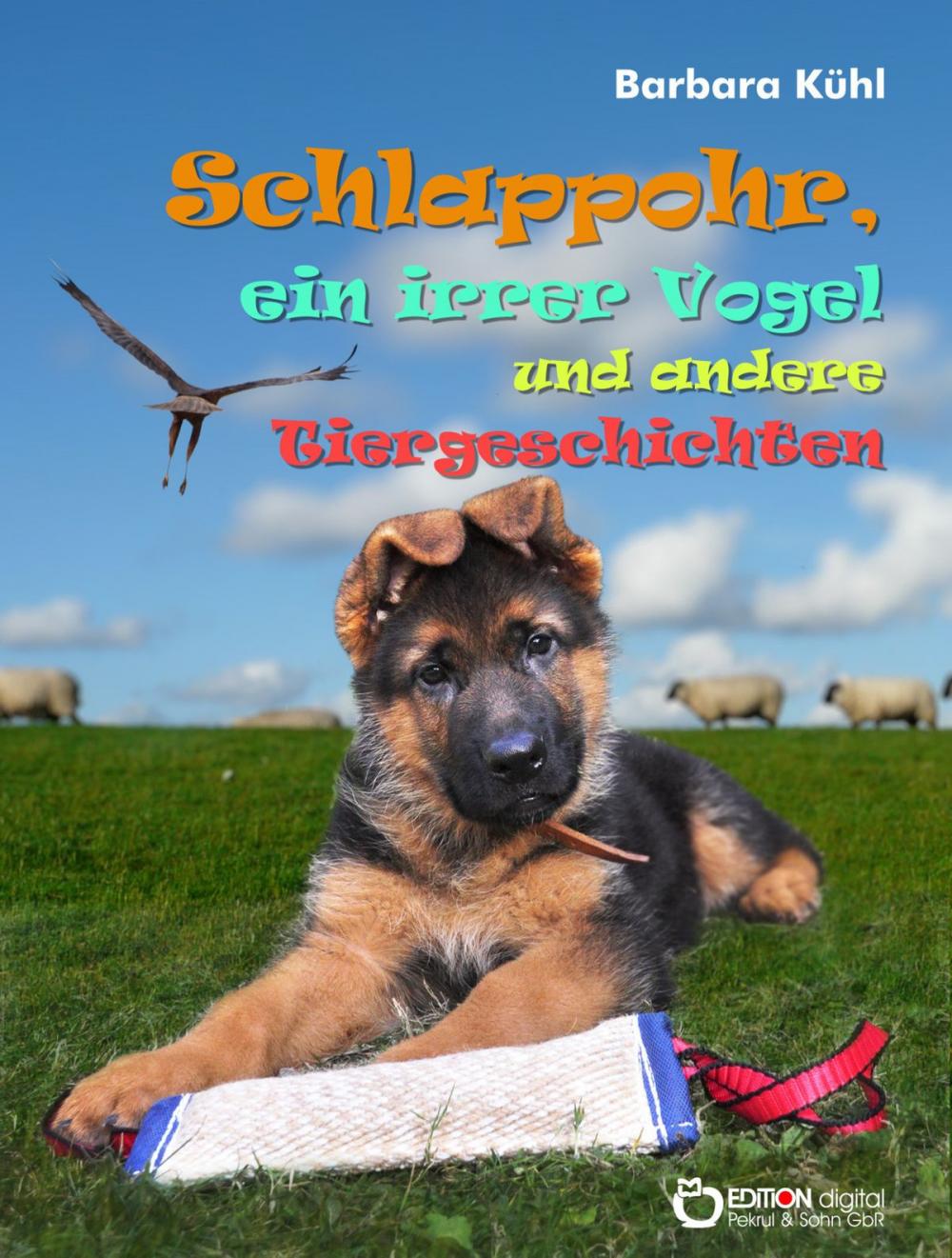 Big bigCover of Schlappohr, ein irrer Vogel und andere Tiergeschichten