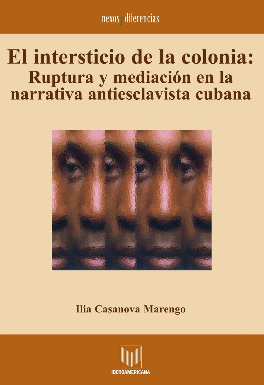 Big bigCover of El intersticio de la colonia