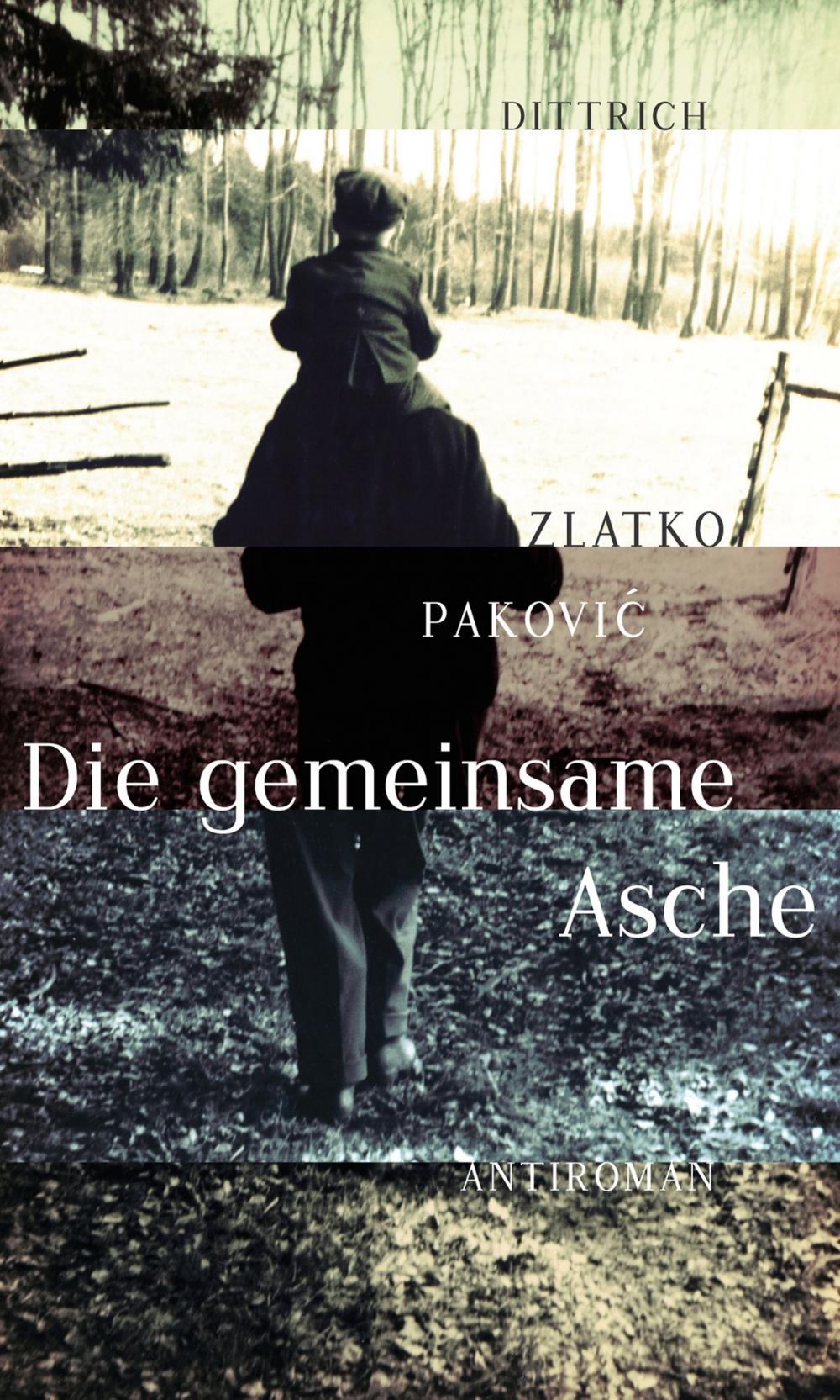 Big bigCover of Die gemeinsame Asche