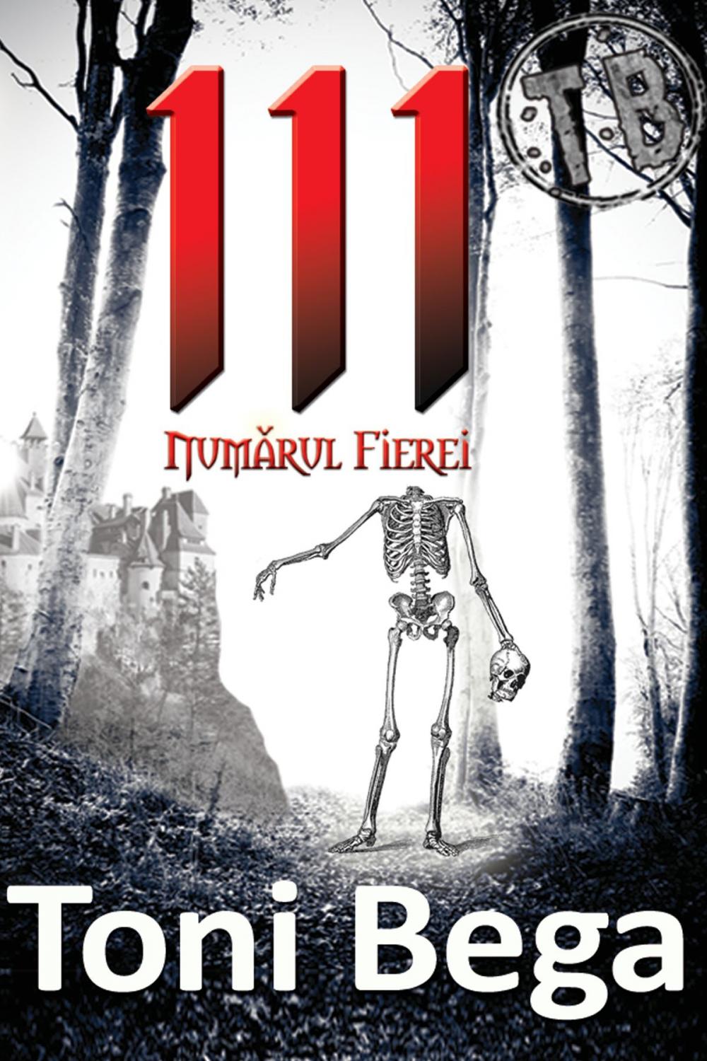 Big bigCover of 111 Numărul Fierei