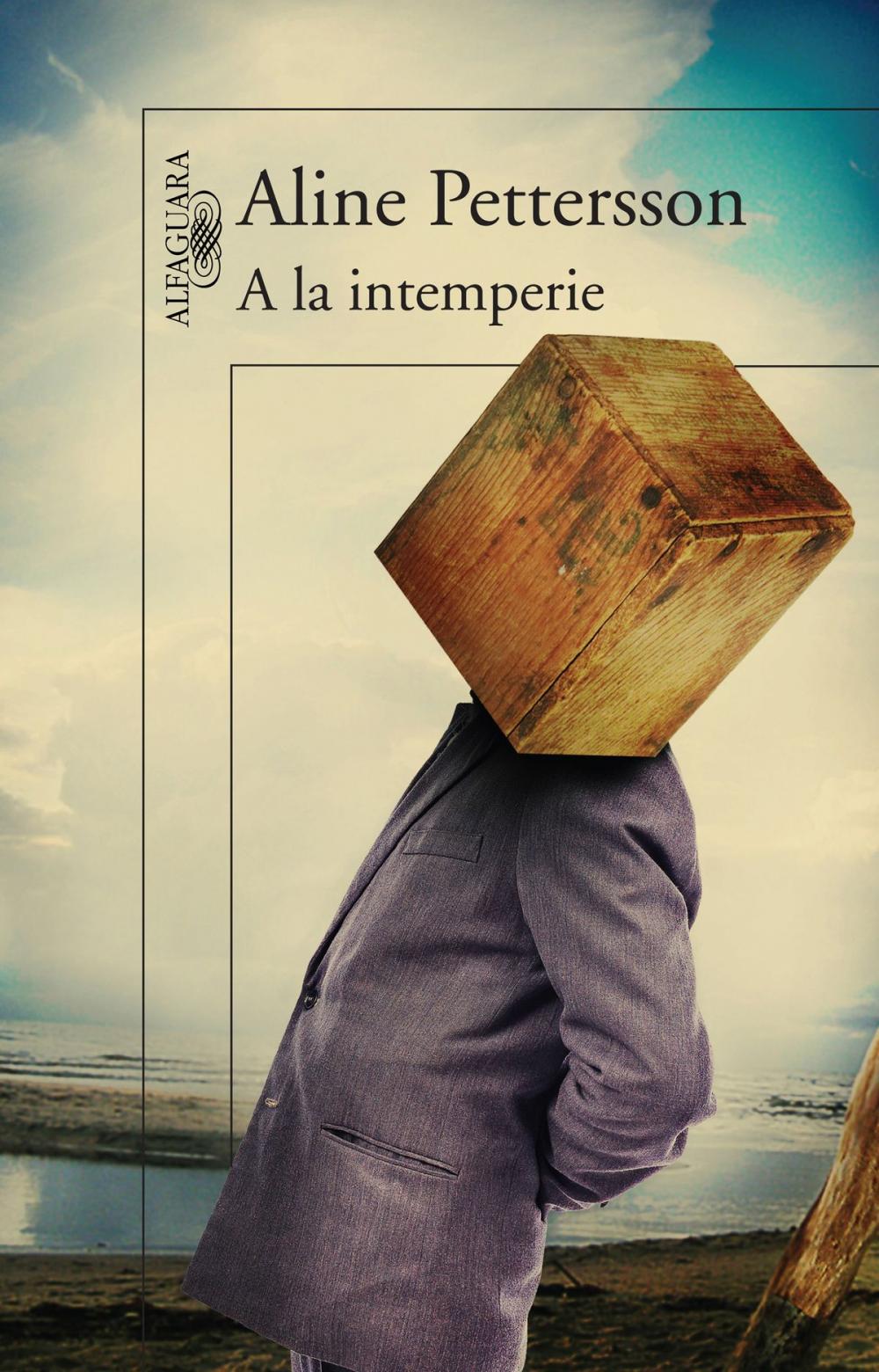 Big bigCover of A la intemperie