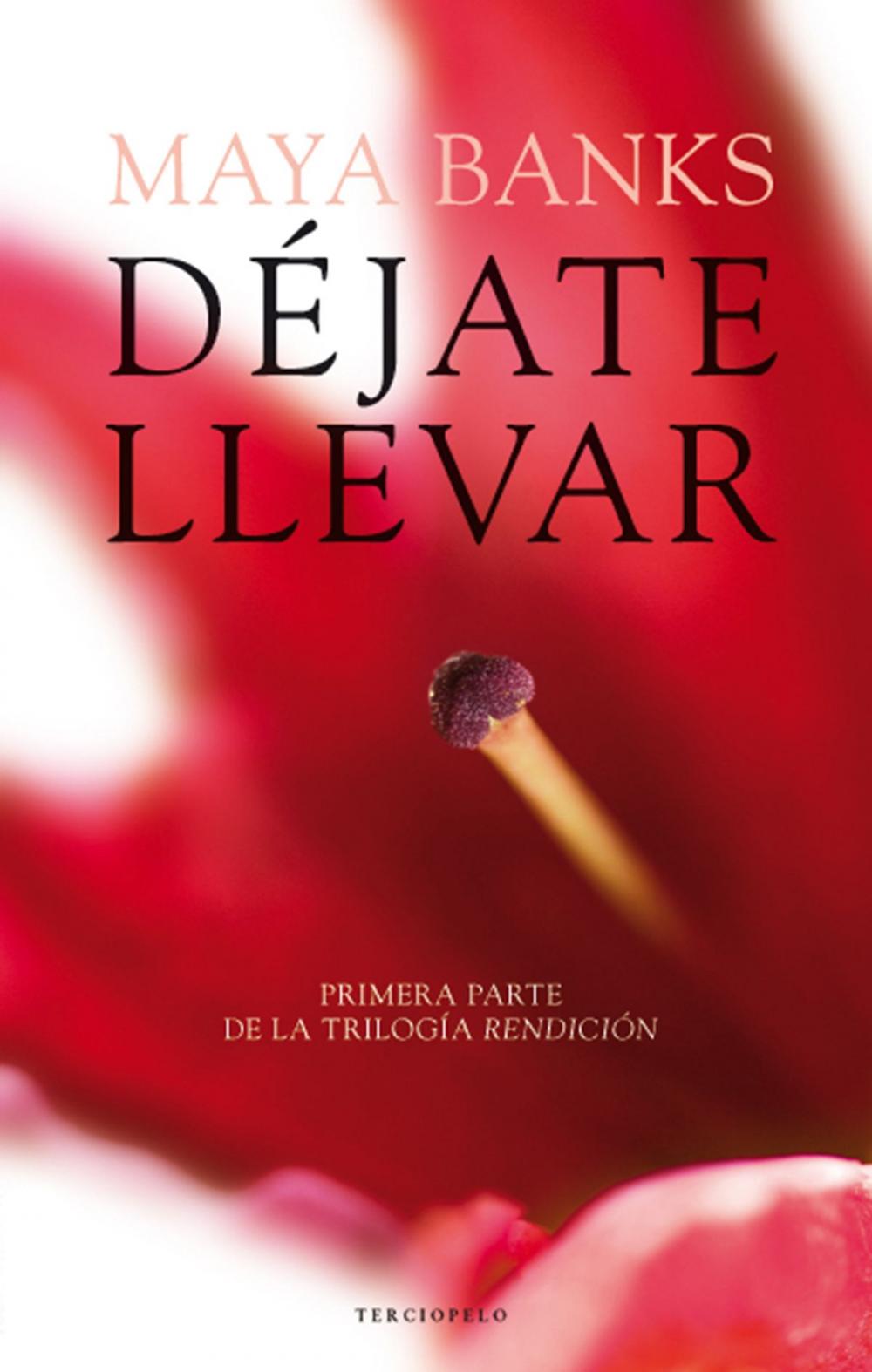 Big bigCover of Déjate llevar