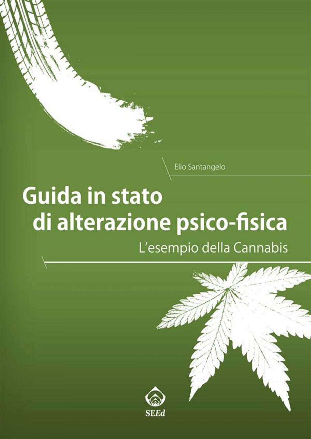 Big bigCover of Guida in stato di alterazione psico-fisica