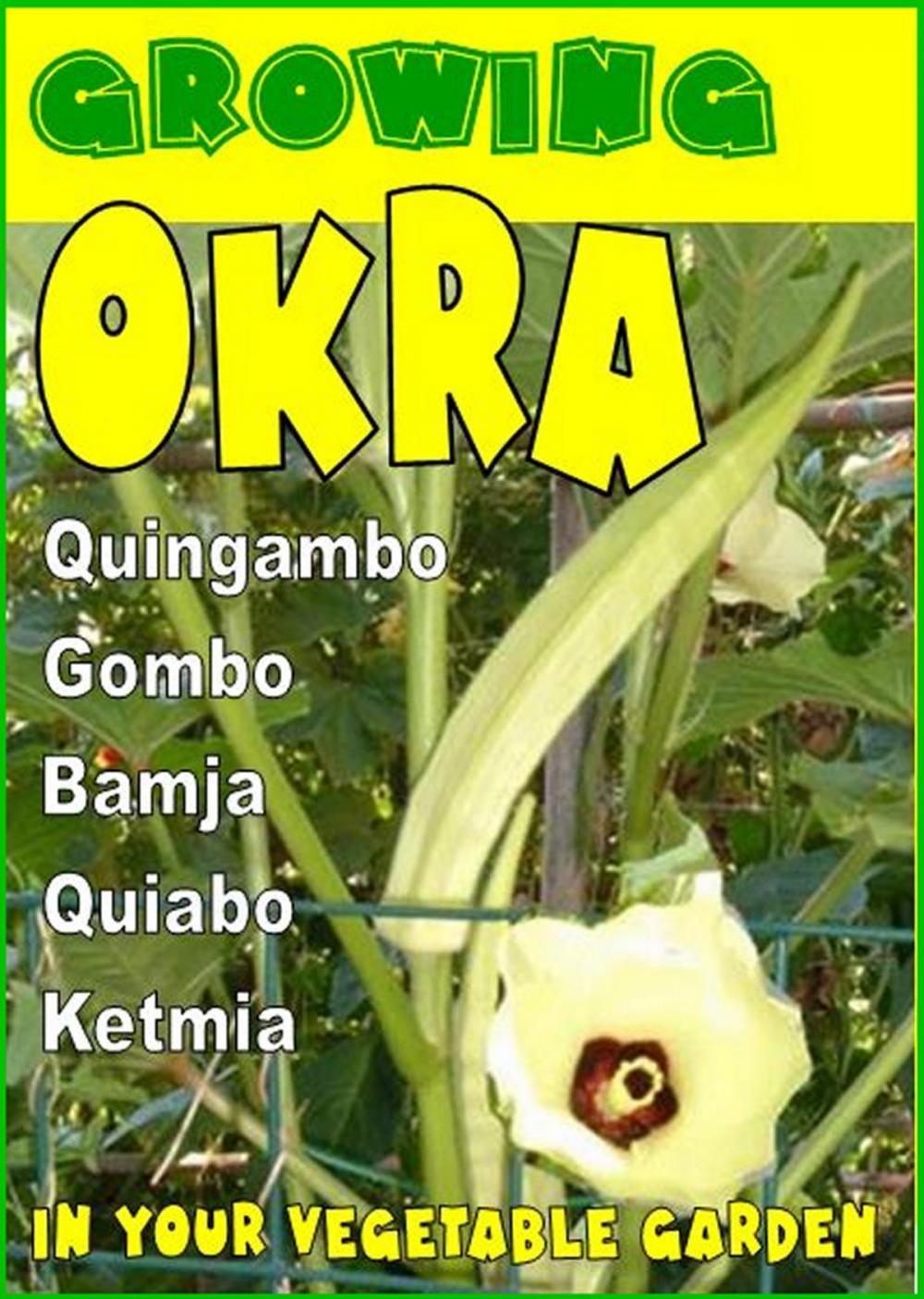 Big bigCover of Growing Okra in your vegetable garden.
