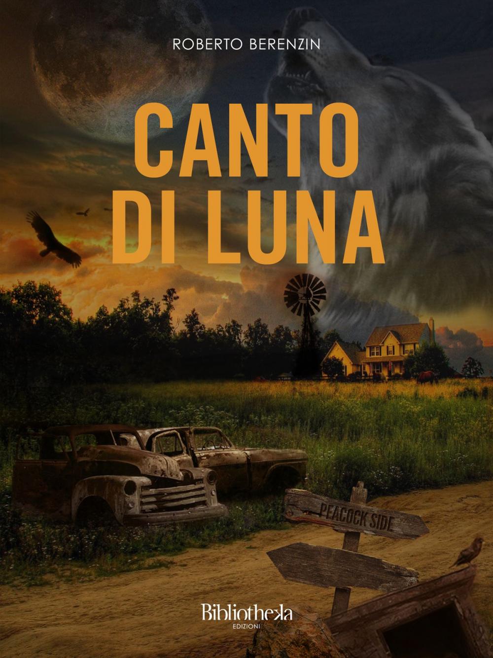 Big bigCover of Canto di Luna