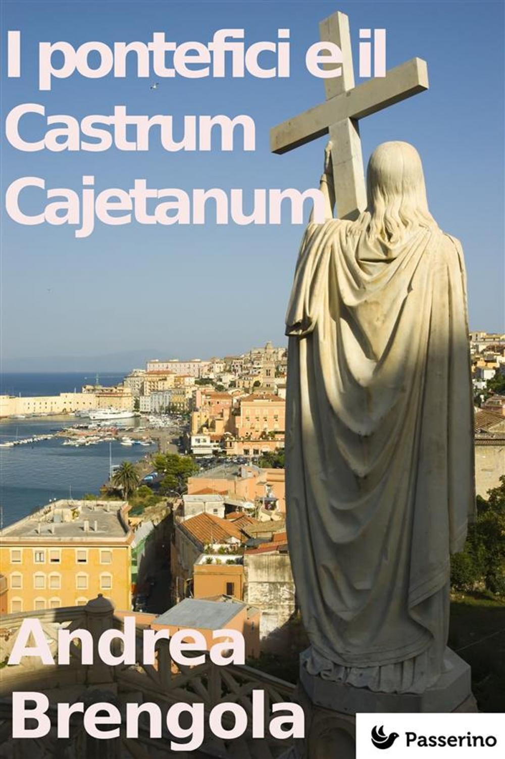 Big bigCover of I pontefici e il Castrum Cajetanum