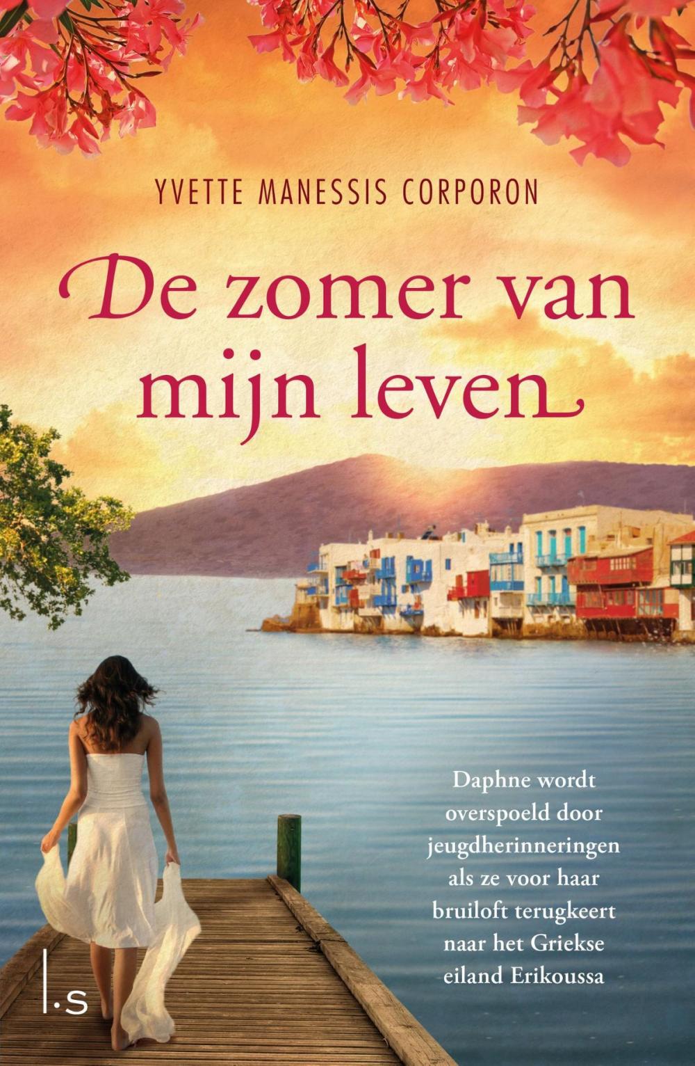 Big bigCover of De zomer van mijn leven