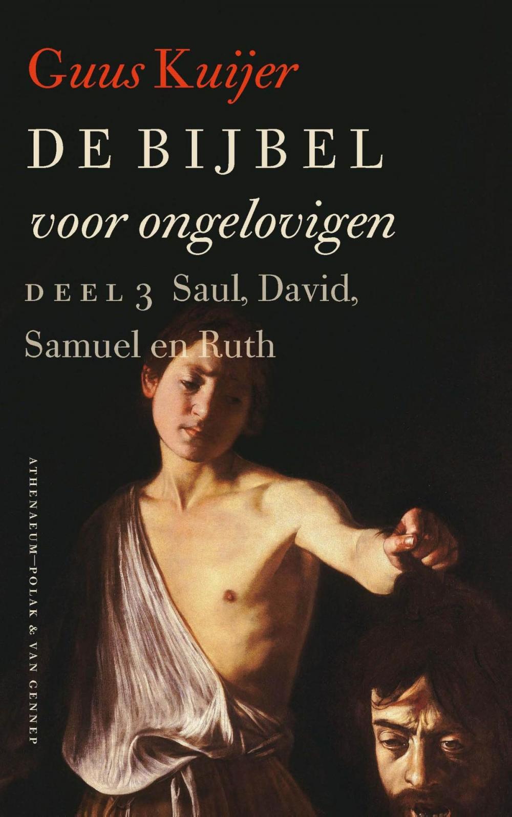 Big bigCover of De Bijbel voor ongelovigen