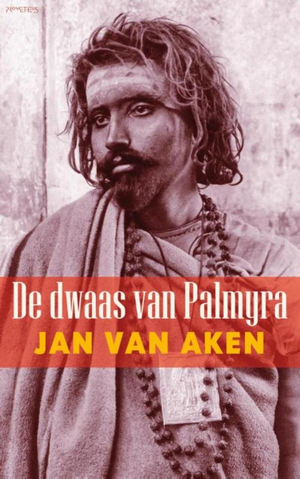 Big bigCover of De dwaas van Palmyra