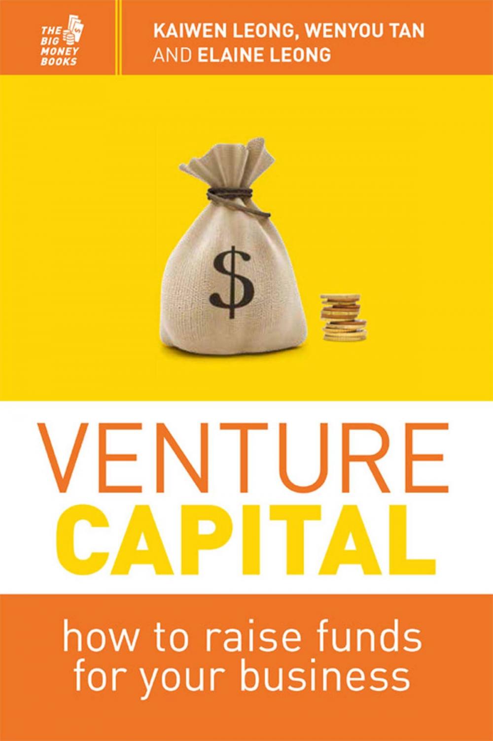 Big bigCover of Venture Capital