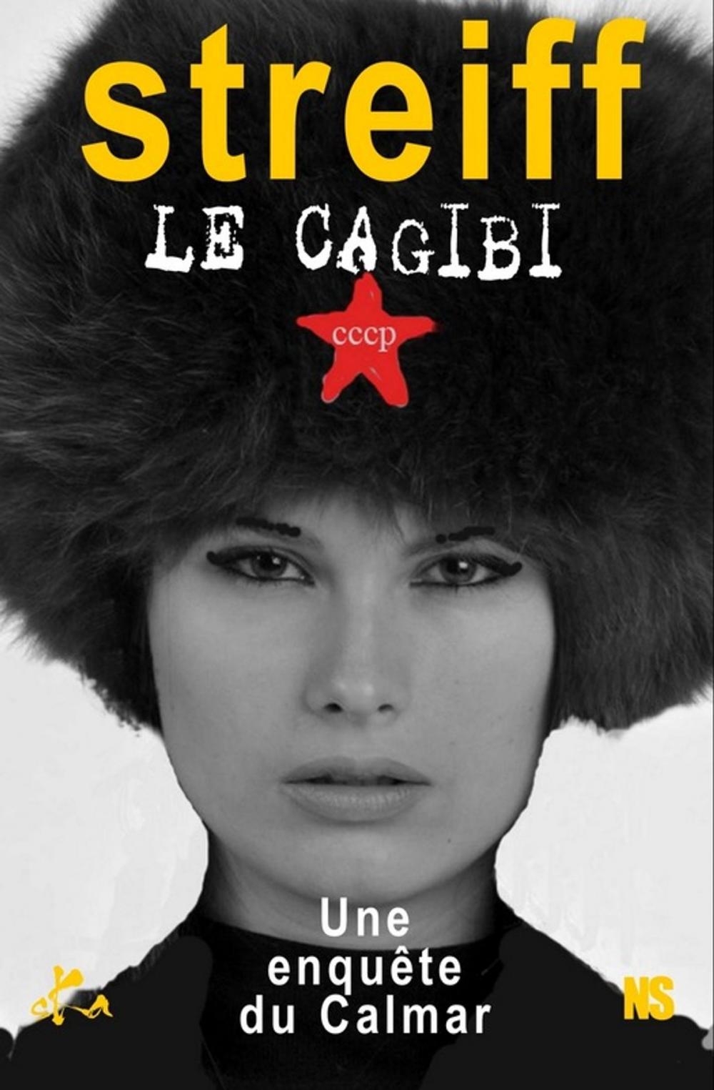 Big bigCover of Le cagibi