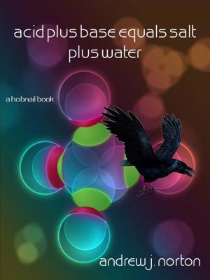 Cover of the book Acid plus Base equals Salt plus Water by Will Bly