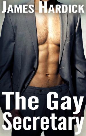 Cover of the book The Gay Secretary by James Hardick