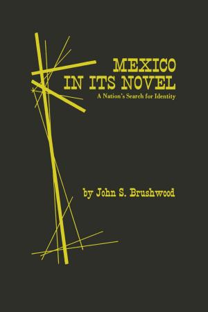 Cover of the book Mexico in Its Novel by Todd McGowan