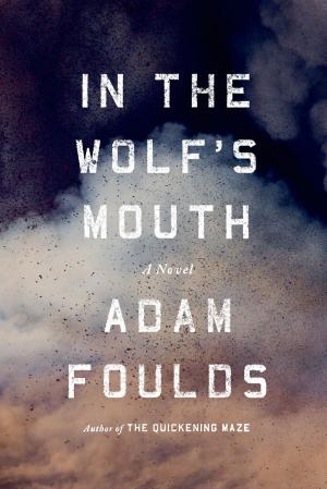 bigCover of the book In the Wolf's Mouth by 