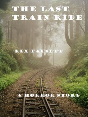 Book cover of The Last Train Ride