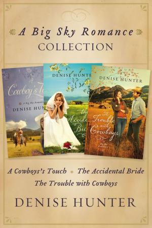 Book cover of Big Sky Romance Collection