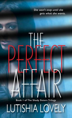 Cover of the book The Perfect Affair by Deirdra Corbett